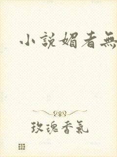 小说媚者无疆封面