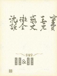 沈微燕王穿越小说全文免费阅读封面