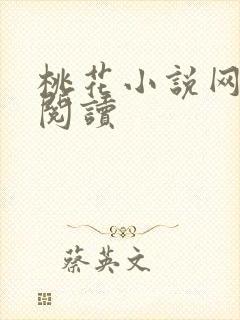 桃花小说网小说阅读封面