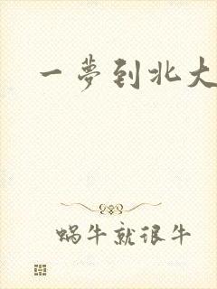 一梦到北大