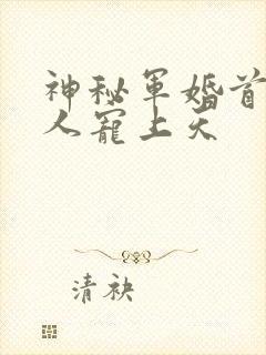神秘军婚首长大人宠上天封面