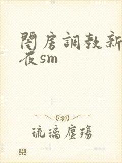 闺房调教新婚之夜sm封面
