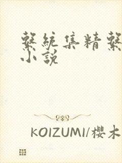 系统集精系统 小说