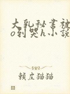 大乳秘书被cao到哭h小说