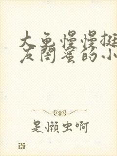 大龟慢慢挺进女友闺蜜的小说封面