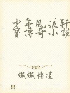 少年风流轩辕大宝传奇小说封面