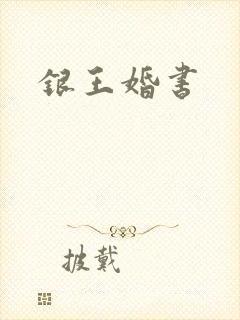 银王婚书封面