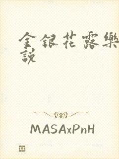 金银花露乐可小说封面