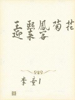 王熙凤菊花门初迎来客封面