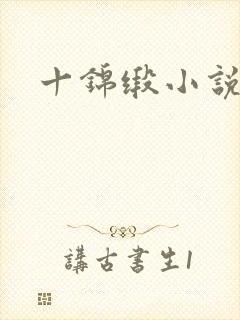 十锦缎小说封面