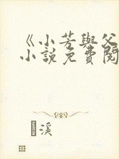 《小芳与父亲》小说免费阅读封面