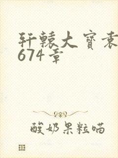 轩辕大宝袁雪妃674章