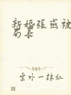 新婚张燕被两个局长封面