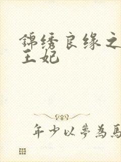 锦绣良缘之北地王妃