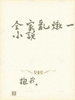 全家乱炖一锅烩小说封面