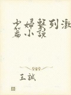 少妇系列激情短篇小说封面