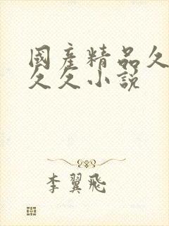 国产精品久久久久久小说