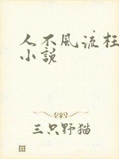 人不风流枉少年小说