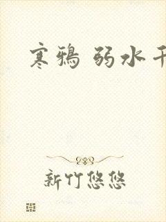 寒鸦 弱水千流