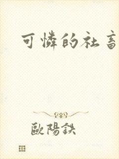 可怜的社畜小说封面