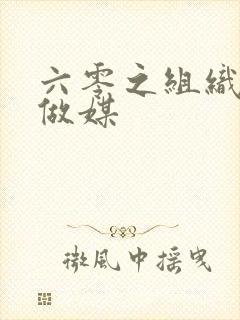 六零之组织给我做媒封面