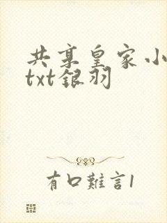 共享皇家小公主txt银羽封面