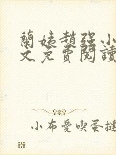 兰姨赵强小说全文免费阅读