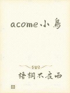 acome小鸟