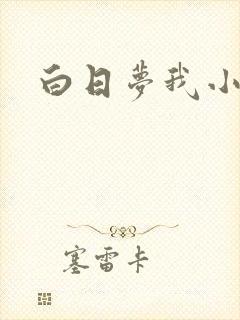 白日梦我小说
