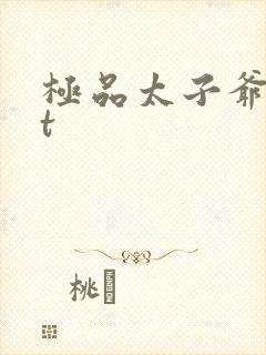 极品太子爷txt封面