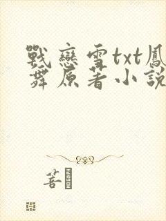 战恋雪txt凤舞原著小说封面