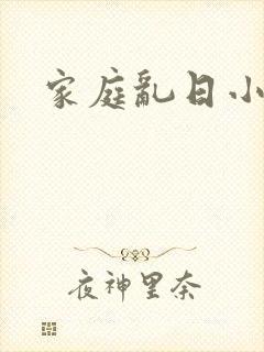 家庭乱日小说封面