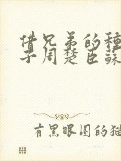 借兄弟的种生孩子周楚臣苏糖