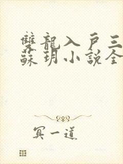 双龙入户三人行苏玥小说全文阅读