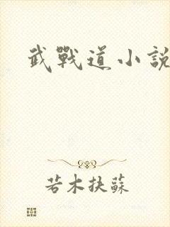 武战道小说