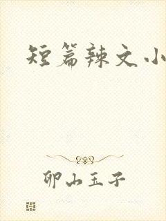 短篇辣文小说