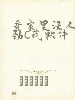 哥家里没人使点劲C我软件