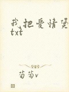 我把爱情煲成汤txt