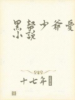 黑帮少爷爱上我小说