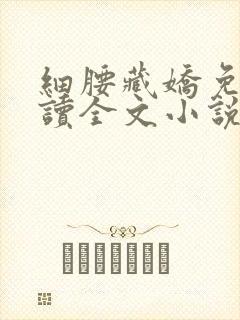 细腰藏娇免费阅读全文小说苏珞浅封面