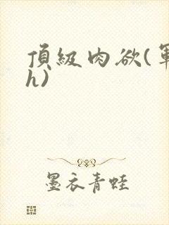 顶级肉欲(军高h)