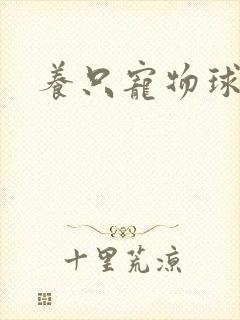 养只宠物球封面