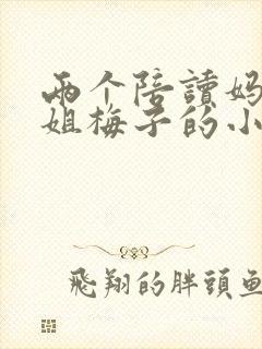 两个陪读妈妈赵姐梅子的小说