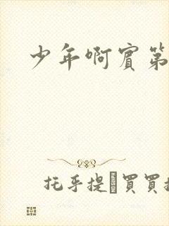 少年啊宾第二部