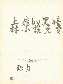 上瘾by黑暗森林小说免费