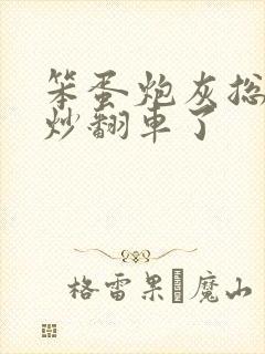 笨蛋炮灰总被爆炒翻车了