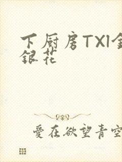 下厨房TXl金银花