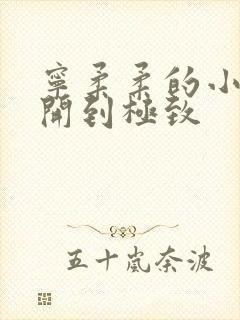 宁柔柔的小泬撑开到极致