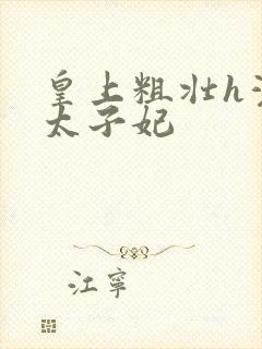 皇上粗壮h灌满太子妃封面