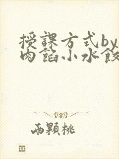 授课方式by 肉馅小水饺